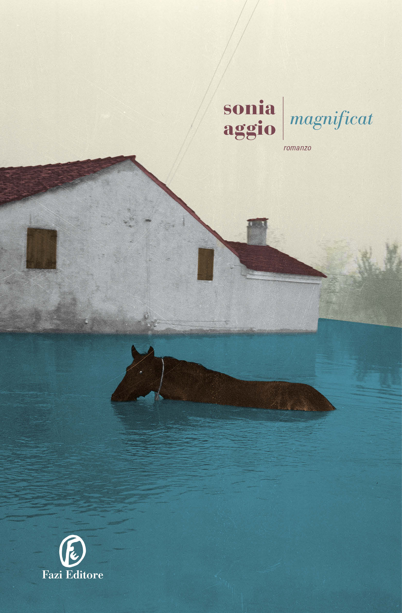Nessuna immagine disponibile