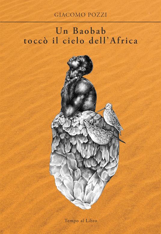 Nessuna immagine disponibile