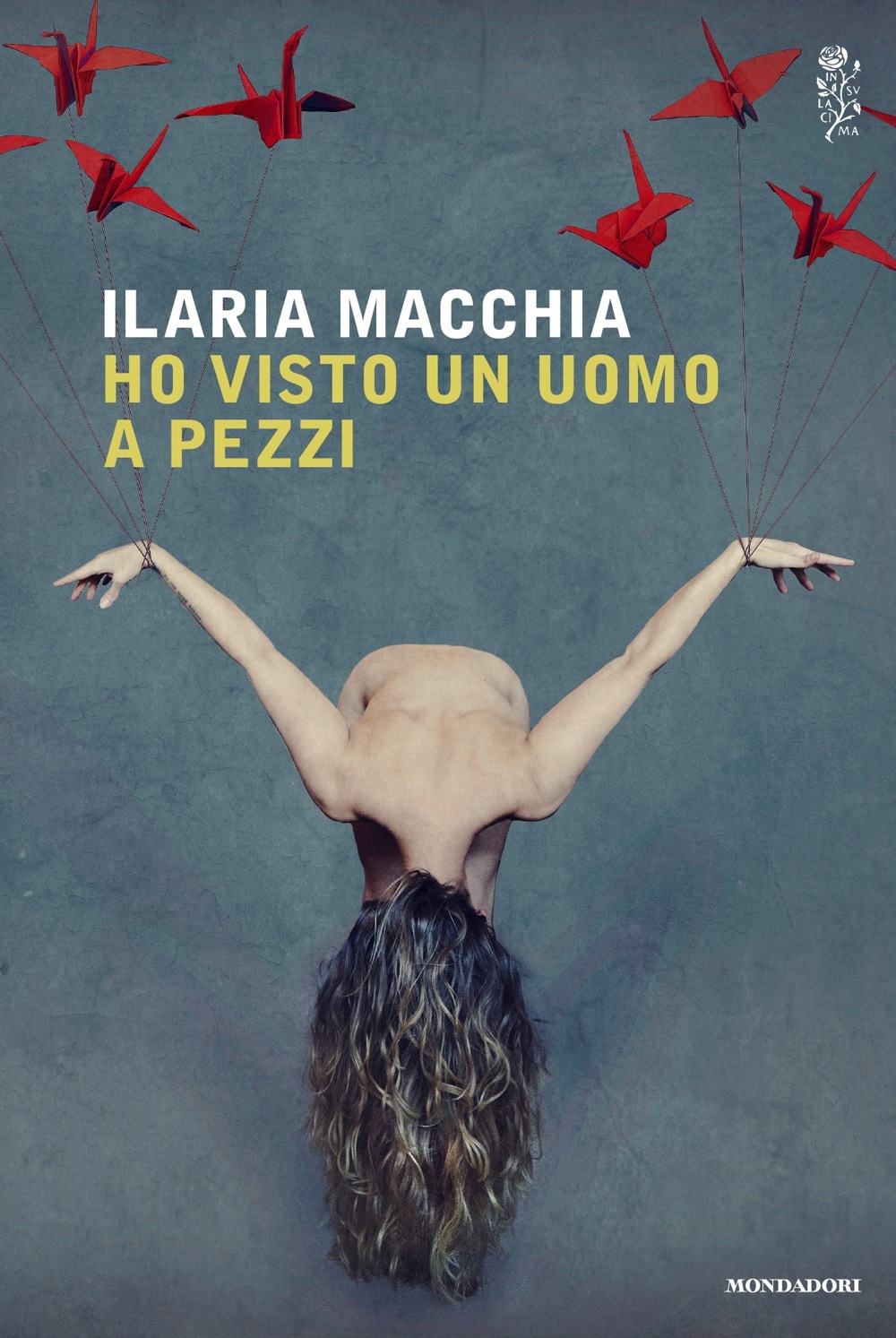 Nessuna immagine disponibile