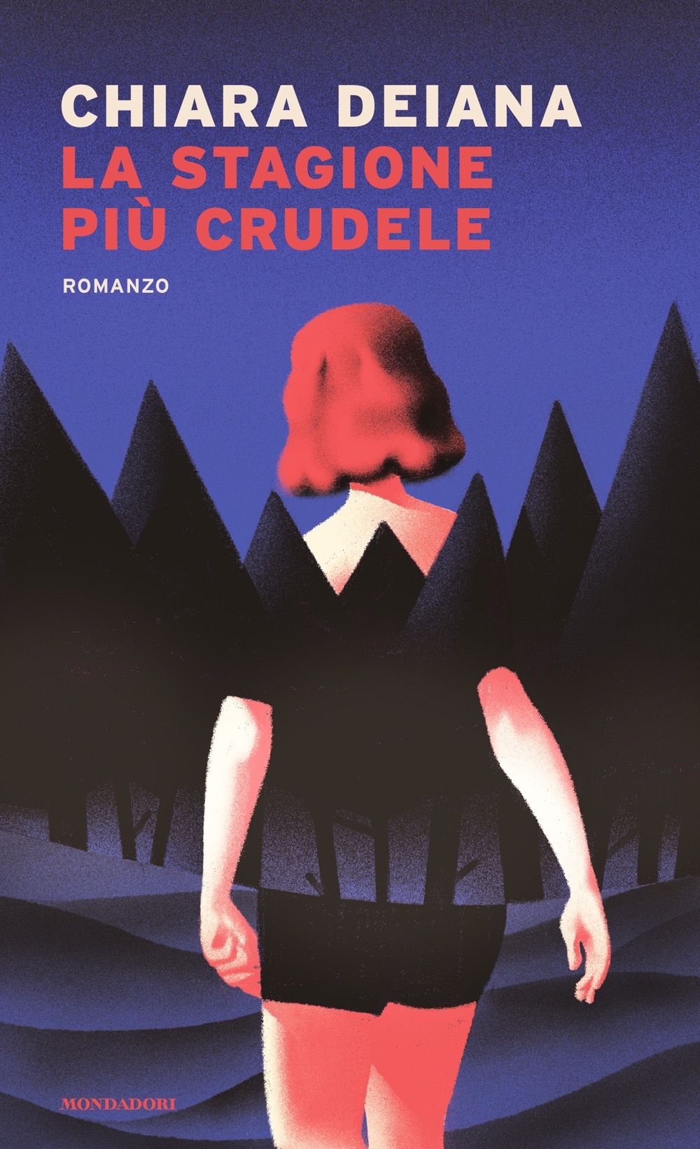 Nessuna immagine disponibile