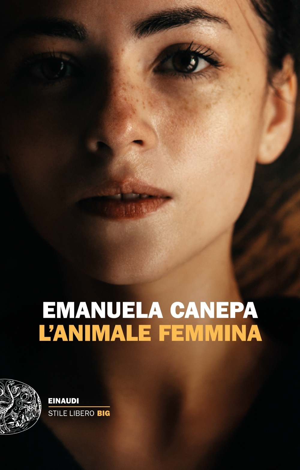 Nessuna immagine disponibile