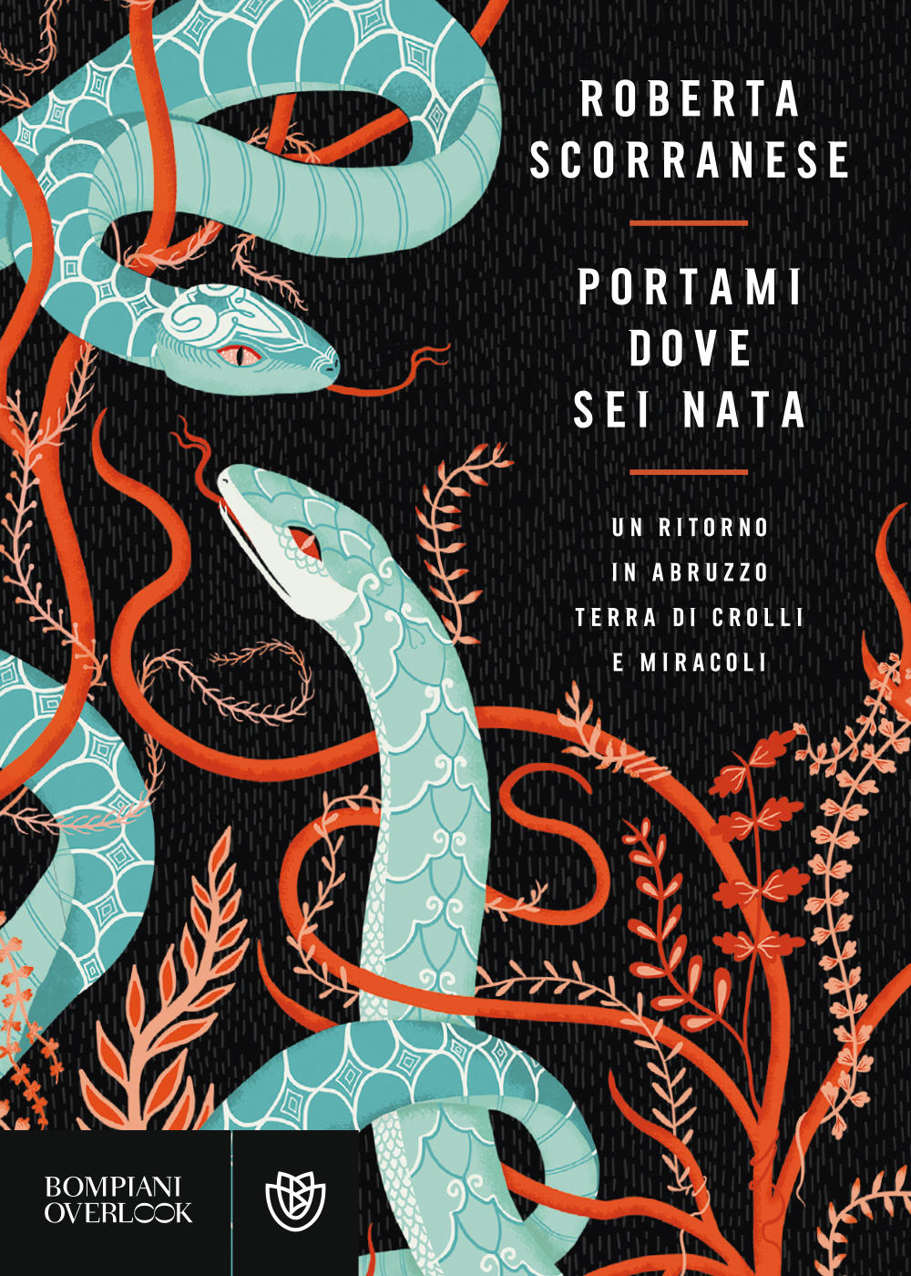 Nessuna immagine disponibile