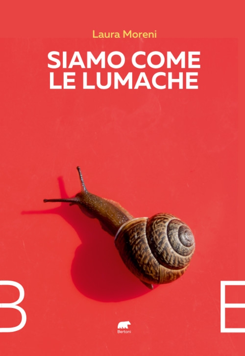 Nessuna immagine disponibile